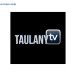 Taulany TV